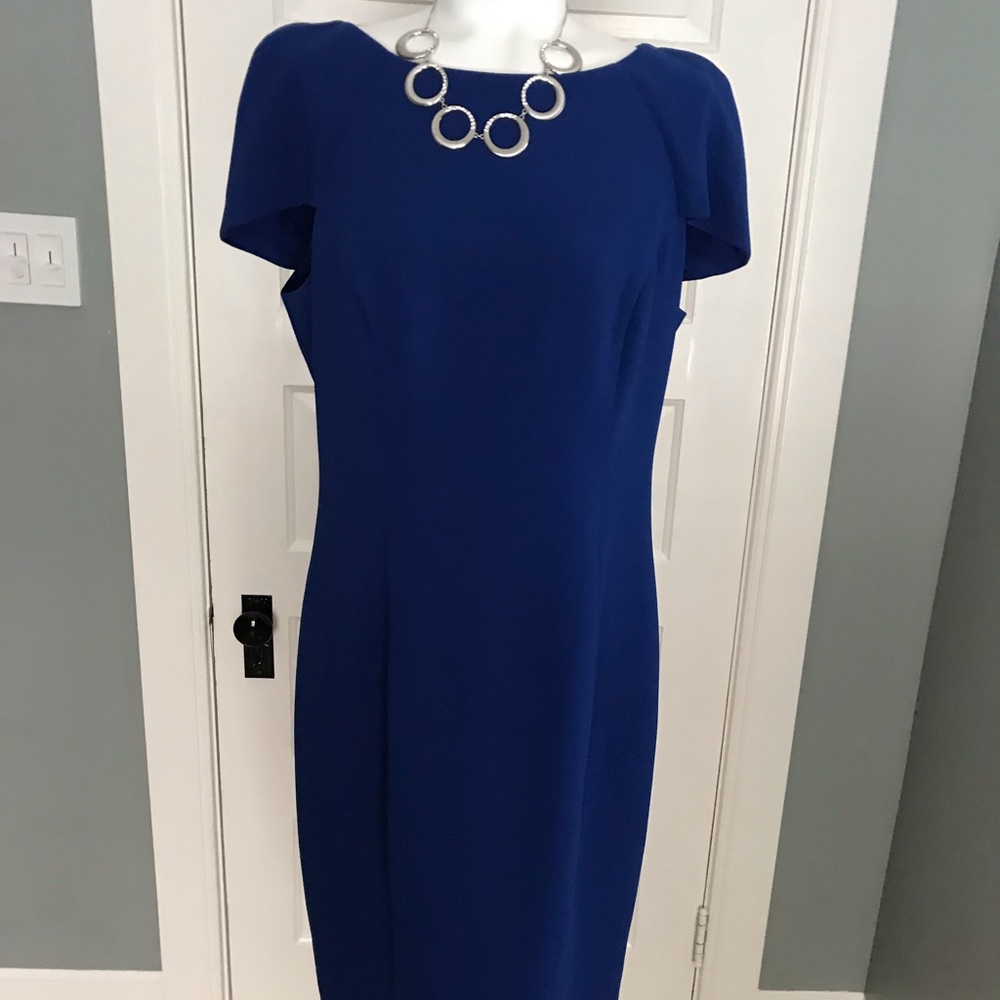 Badgely Mischka stunning sheath dress EUC